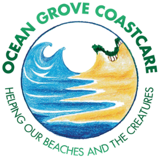 Ocean Grove Coast Care