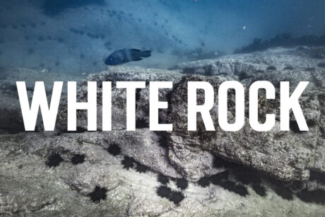 Winter Film Night - White Rock