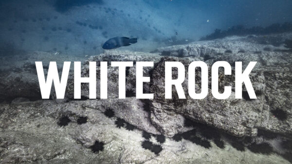 Winter Film Night - White Rock
